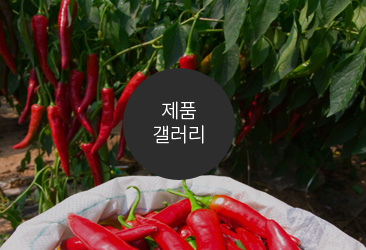 제품갤러리